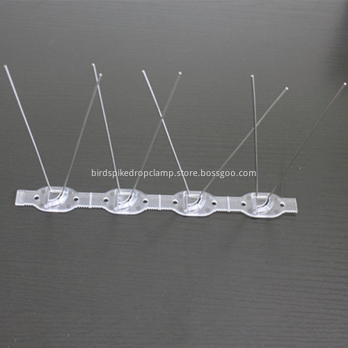Bird Spikes - Polycarbonate